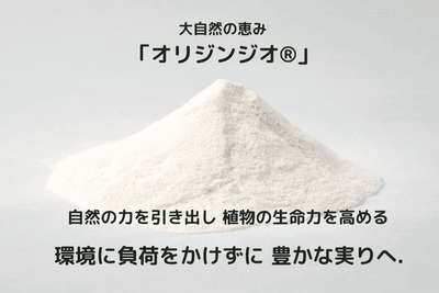 オリジンジオ(R)