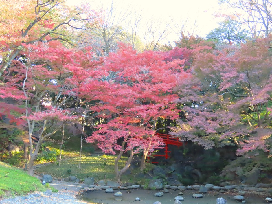 通天橋(11月29日撮影)
