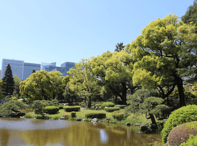 心字池と周辺の樹木（日比谷公園）