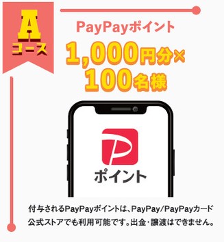 Aコース　PayPayポイント1,000円分　イメージ図