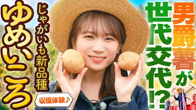 秋元真夏が北海道訓子府町で じゃがいもの新品種「ゆめいころ」を収穫！