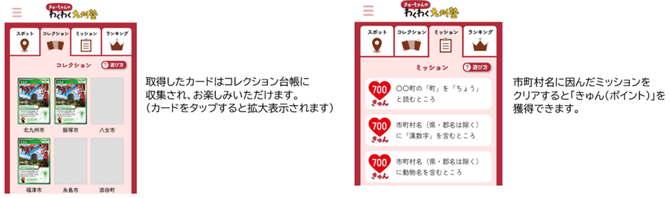 コレクション台帳、ミッション