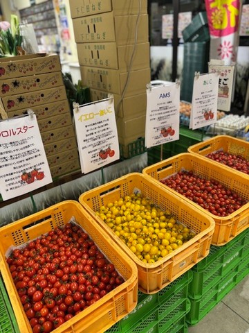 ミニトマト盛りチャレンジ
