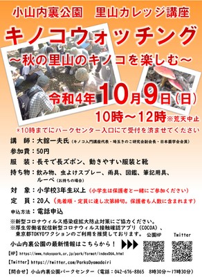 案内チラシ