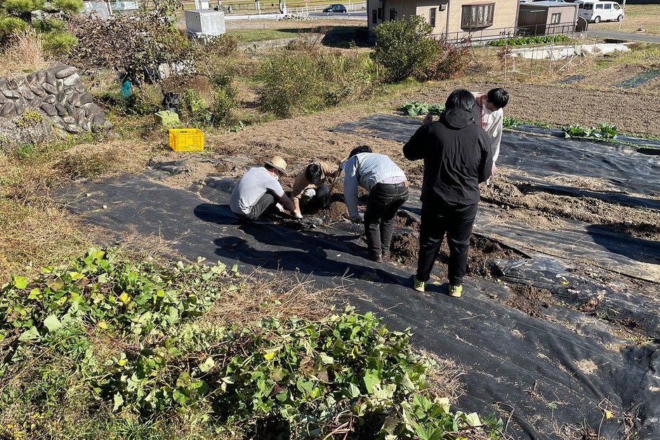 【ココトモワークス】