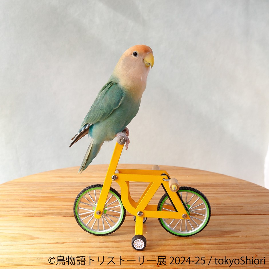 展示作品8
