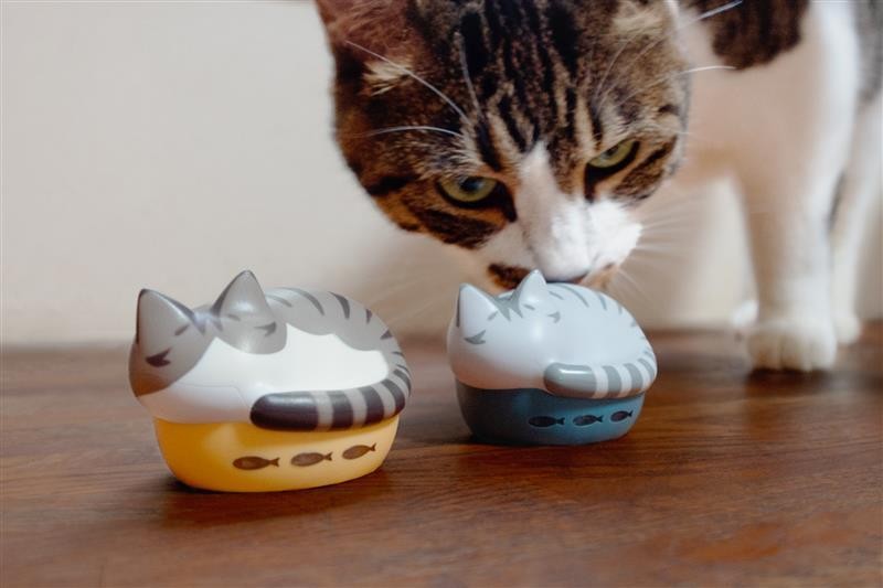 05_開発担当の猫_1