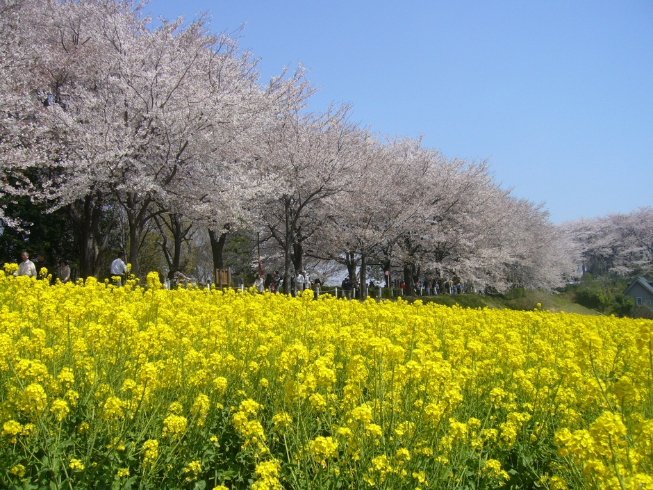 尾根緑道会場