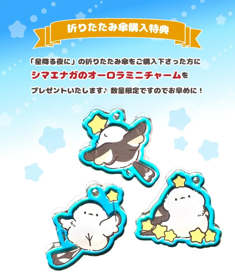 数量限定！購入特典♪