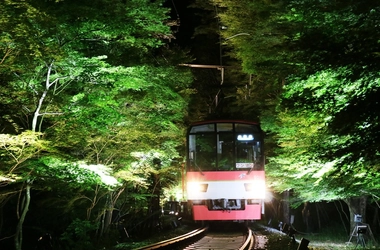 ～夜の京都を楽しむ。もみじのトンネルを抜けて貴船・鞍馬へ～
「青もみじのライトアップ」を実施します