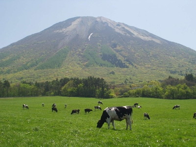 大山と乳牛