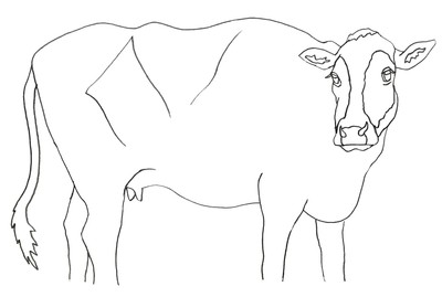 キャンバス下絵イメージ