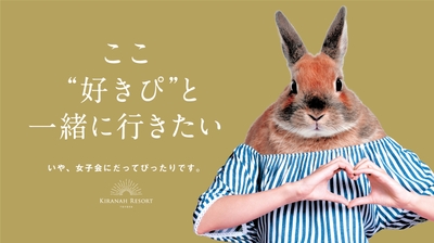 広告用キャラクター ギャルウサギ