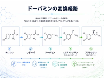 『【34件の論文を分析】Lドーパサプリに期待できる効果・目安量・おすすめ素材とは』を公開いたしました。