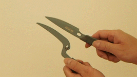 att_364655_3.gif