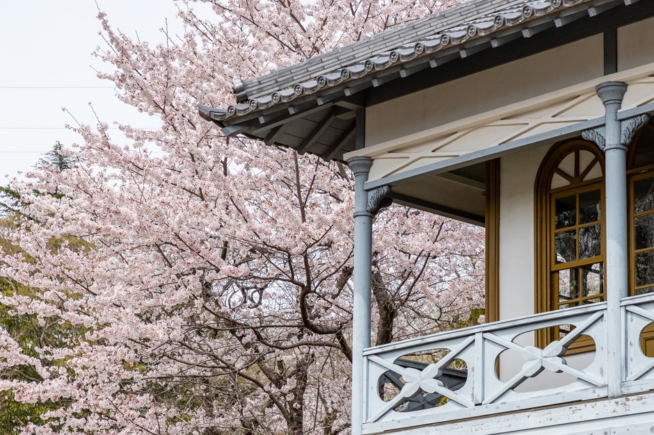 豊田市民芸館