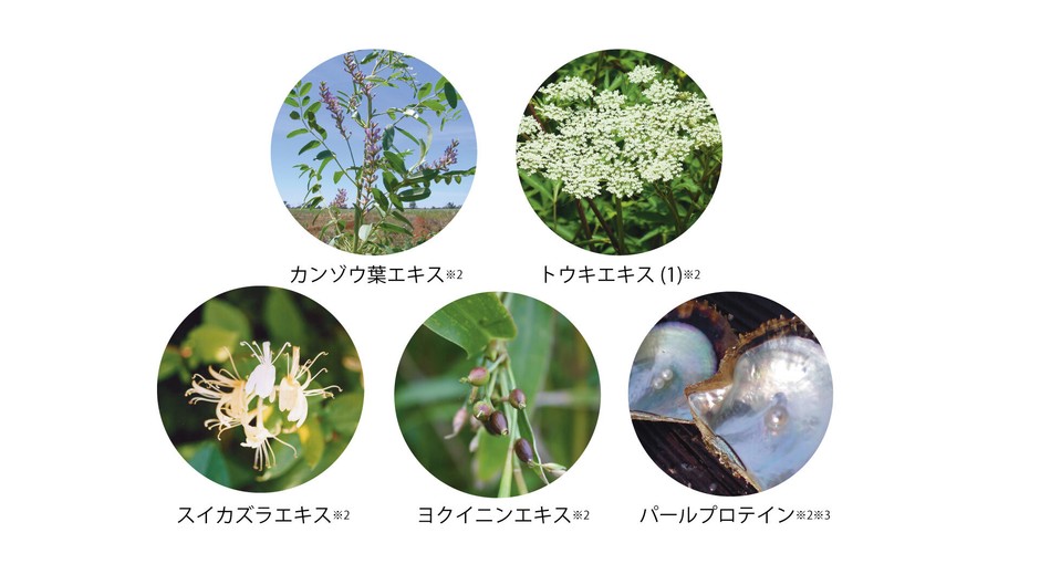 5種類の和漢混合エキス