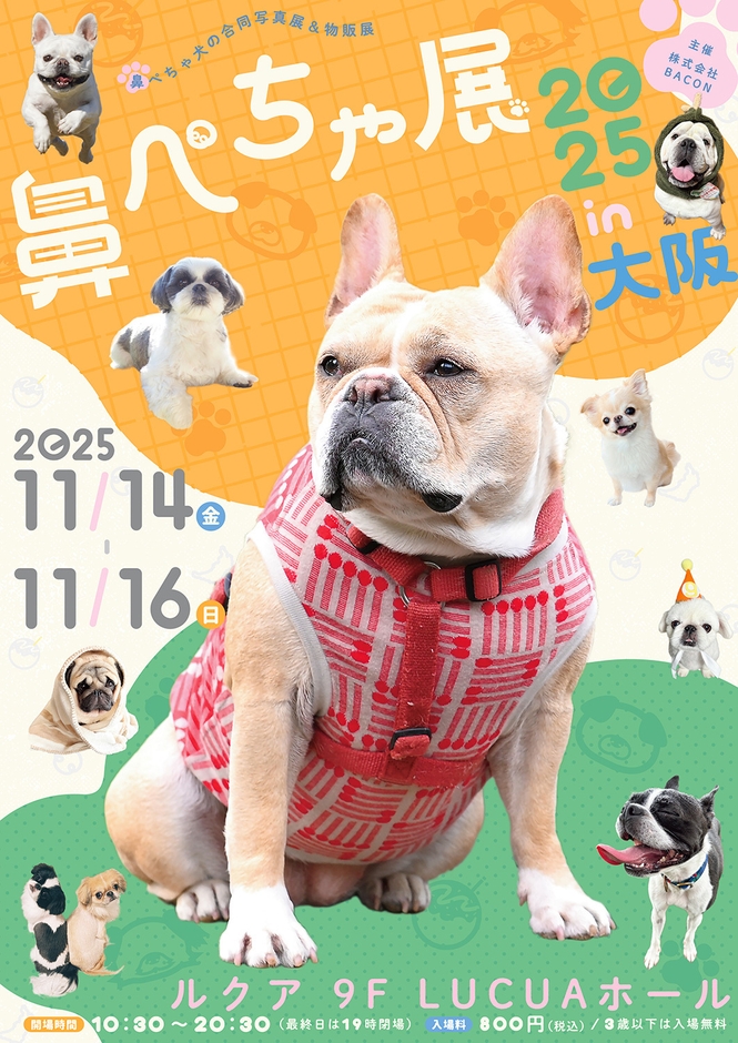鼻ぺちゃ展 キービジュアル(縦)