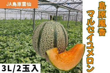 長崎県産の「島原風香 マルセイユメロン」がJAタウンのショップ「もぐもぐながさき」に初登場！赤肉の濃厚な甘みと美しいストライプ模様が際立つ自慢の大玉果実を期間限定販売