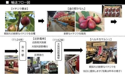 河南町の新鮮な朝採れイチジクを、ハルチカマルシェで今年も販売しまっせ！