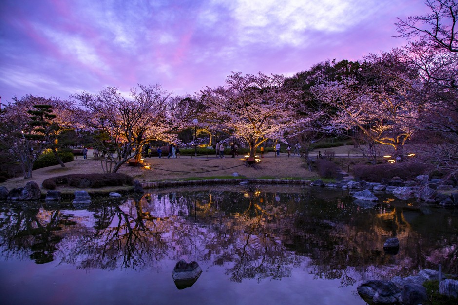 幻想的な日本庭園