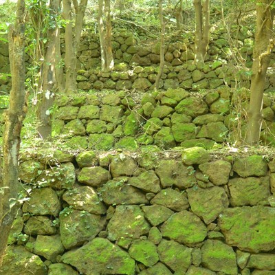 岩地コース石積