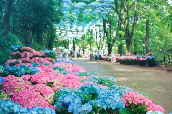 ※画像はイメージです。