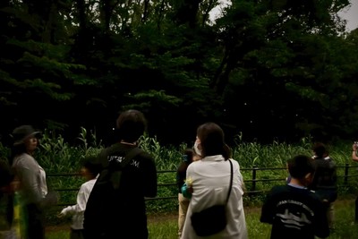 2025年の「夜のホタル観察会」の様子
