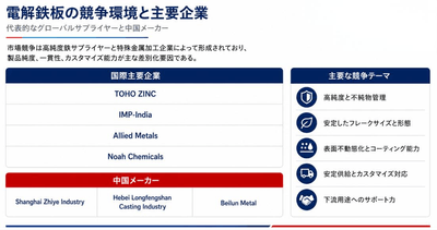 図：世界の電解鉄板の競争環境と主要企業
