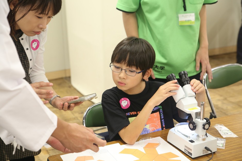 2日目の「石や砂で自由研究」の一幕です