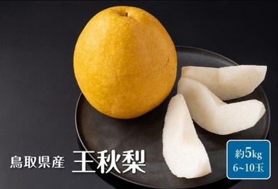 鳥取県産　王秋梨