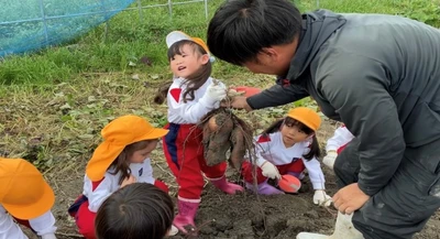 近畿大学九州短期大学附属幼稚園の園児がサツマイモ収穫体験自然の恵みを学び、食べ物への感謝の気持ちを育む