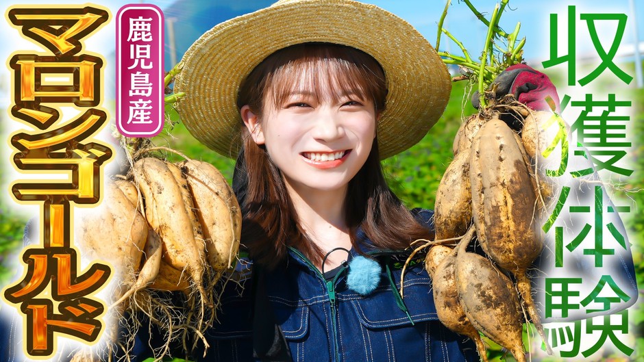 YouTube番組「ゆるふわたいむ」