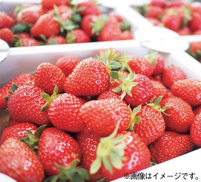 いちご盛り放題