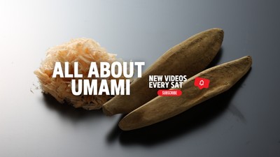 All About Umami チャンネルイメージ