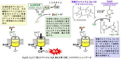 論文概要図