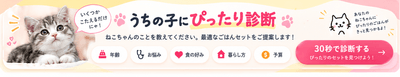 うちの子にぴったりのセットを選ぶ診断も