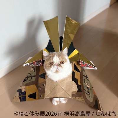 【ねこ休み展】展示作品：じんぱち