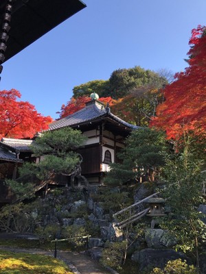 庭園の紅葉