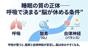 睡眠時に胸郭・横隔膜・鎖骨が同時に弱まる──重力が90度変わる"背面圧構造"の最新知見