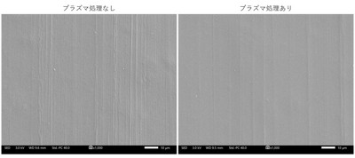 写真6. 表面の電子顕微鏡画像(1,000倍)