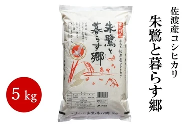 朱鷺が舞う佐渡から、米・柿・みかんをお届け！
佐渡産の秋の味覚を「ＪＡタウン」で販売中