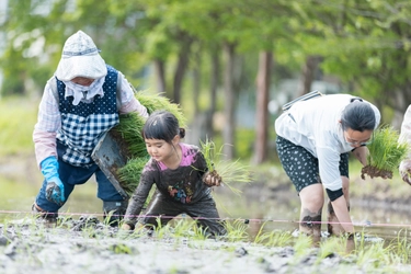主に都市部の親子対象 栃木県塩谷町で開催決定　 里山で学ぶ「米づくり体験」