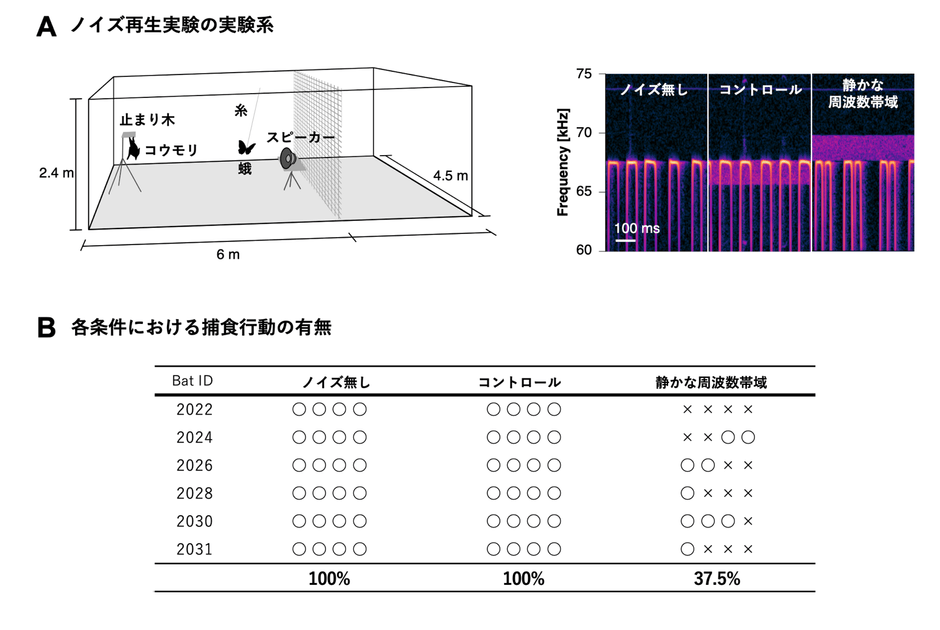 図4.「静かな周波数帯域」におけるノイズ再生による獲物検知実験