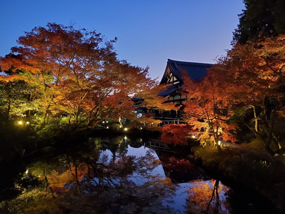 紫雲の庭
