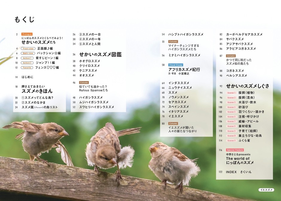 『せかいのスズメ』もくじ