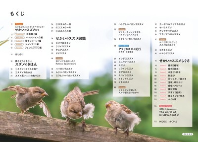 『せかいのスズメ』もくじ