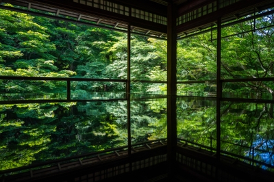 鏡のように映る「机もみじ」(画像提供:瑠璃光院)