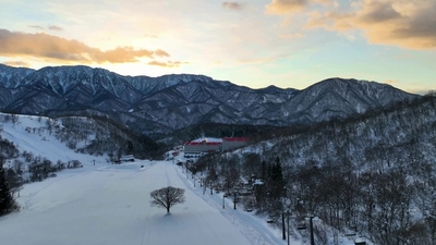 朝日に照らされる池の田ゲレンデ。白馬が誇る美しい冬の景色。