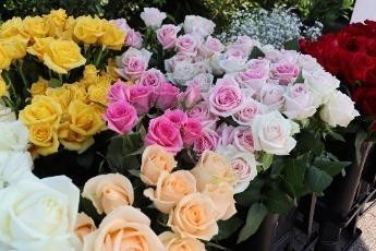 バラの切花の販売の様子（令和７年撮影）